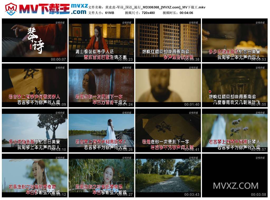 黄皮皮-琴诗_国语_流行_MD306368